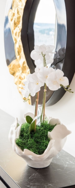 Image of Orchid on a side table